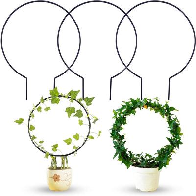 China Heart Shaped Round Climbing Indoor Garden Support Iron Wire Metal Garland Outdoor Plant Stand Removable Garland for sale