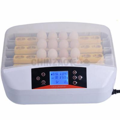 China food & Small Capacity Beverage Plant Chicken Egg Incubator for sale