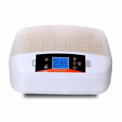 China Commercial Automatic Mini Egg Incubator Hatcher For Sale Of Hotels 56 for sale