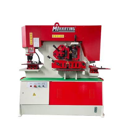 China Q35Y-25 restaurant punching and hydraulic combined shearing machine, locksmith for sale