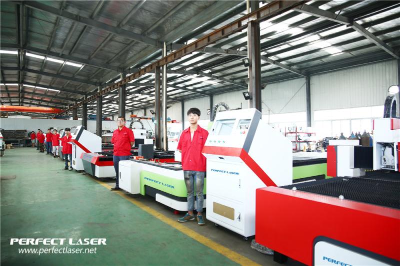 Проверенный китайский поставщик - Perfect Laser (Wuhan) Co.,Ltd.