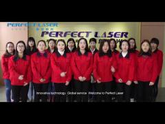 China Perfect Laser Suppliers for Fiber Lasers Manufacturers and Distributors