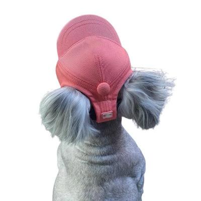 China Wholesale Price New Style Selling Dog Hat High Quality Viable Hot Cute Dog Hat Small Dog Hat for sale