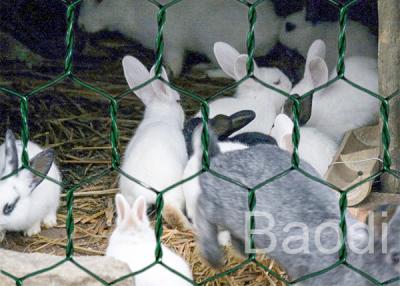 China Fio galvanizado do ferro da galinha rede de arame revestida plástica como o cerco da malha à venda