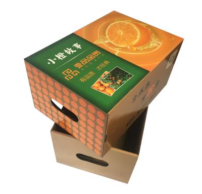 China Recyclable Corrugated Packaging Boxes Corrugated Fruit Citrus / Fruit Box Packaging Box Orange Fruit for sale