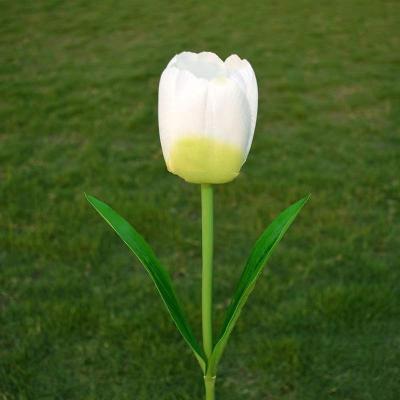 China Solar Fairy Lights Led Solar Flower Tulip Light White Color for sale