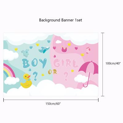 China Unique Clean Design Gender Reveal Photography Backdrop Background Baby Shower Decor for sale