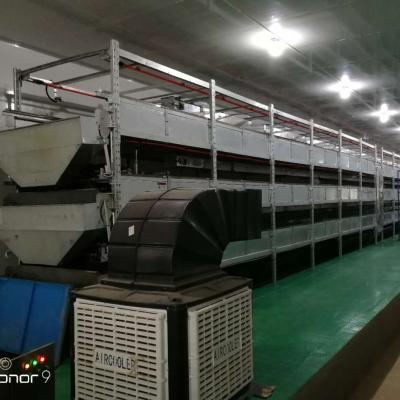 China Hot Sale Farms Durable High Efficiency Easy To Use Frame Type Smart Black Water Horsefly Breeding Unit for sale