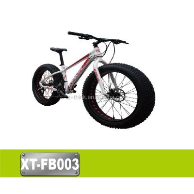 China Aluminum Alloy China Manufacturer 27 Speed ​​Kids Fat Bike Snow Bike for sale