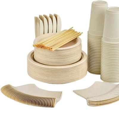 China 500PCS Tableware Set Eco-friendly Disposable Sugarcane Bagasse Round Dish Cutlery And 16OZ Cups For Guest for sale