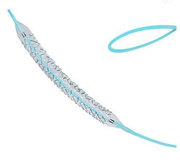 China Partner Sirolimus Drug Eluting Coronary Cardiac Stent /High Quality Medical Cardiac Drug Eluting Coronary Stent for sale