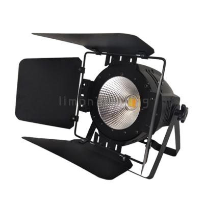 China RGBW 4in1 Full Color LED Wash Cob Par Light 100W for Ballroom Banquet Hall for sale