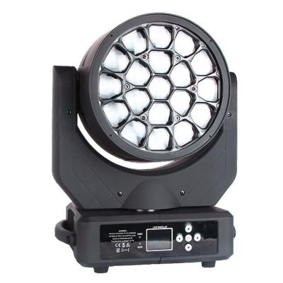 China 19x12w RGBW 4in1 Hawkeye Small Bee Eyes LED Moving Head Beam Light for sale