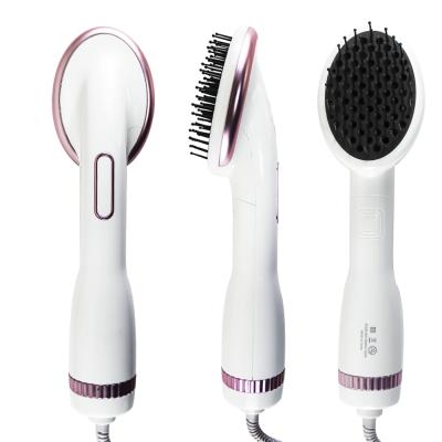 China Multifunctional Ionic Hot Airbrush Styler 2 in 1 One Step Hair Dryer Frizz Free Fast Heating Hair Styler for Straightening for sale