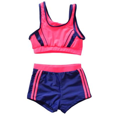 China Cikini 2019 new fashion children's swimsuit children's bikini swimwear plus size plus size for sale