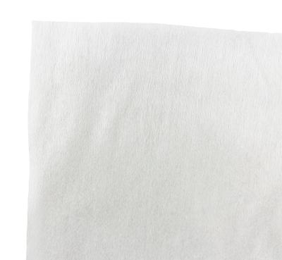 China Parallel 35g Spunlace Waterproof Plain White 20%viscose High Quality Porcelain Spunlace Manufacturing Raw Material for sale