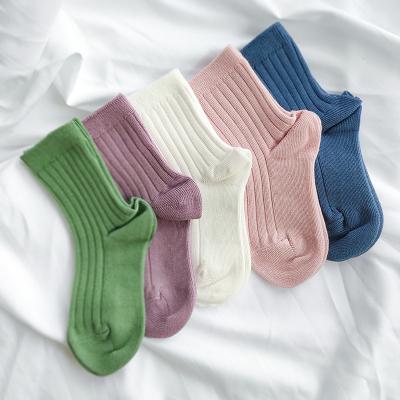 China High Quality Breathable Cotton Rib Essentials Socks Logo All-Season Socks for sale