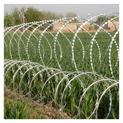 China Variety And Easy To Install Thorn Rope Low Common Price Barbed Galvanized Hot Sale Wholesale for sale