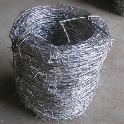 China Variety and Easy to Install Factory Barbed Wire Barbed Wire Farm Hot Selling Protective Fence for sale