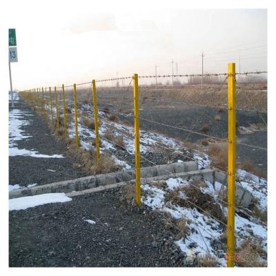 China Variety And Easy To Install Safety Galvanized Barb Wire Super Durable Coated Barbed Wire for sale