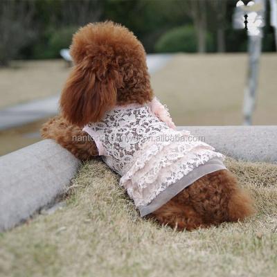 China Fashionable New Style Lace Dog Skirt, Dog Clothes for sale