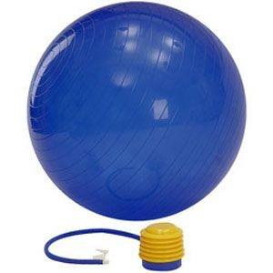 China 75cm/85cm Anti--brust Schweizer Ball PVCs mit Fußpumpe zu verkaufen