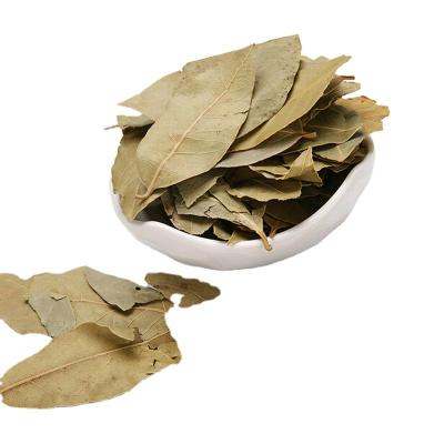 China DRY BERRY LEAVES / CLEAN AND GOOD SIZE BERRY LEAF / GRADE BERRY LEAVES for sale