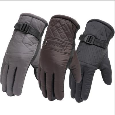 China Sale Knitted Men's Cotton Top Cotton Gloves Winter Warm Fabric Plus Glove Ski Breathable Sport Warm Velvet Sport Glove for sale