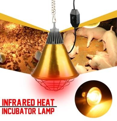 China Bathroom Heater Waterproof Infrared Heat Whole Lamp Bulb For Animal Chick Growing Pig Poultry 250w 100w for sale