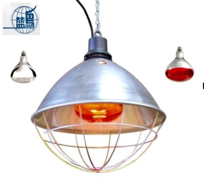 China 100W 150W 200W Treatment Heat Medical Infrared Infrared Lamp Bulb For Poultry Pig Puppy Cat Chicks for sale