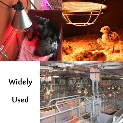 China Medical Treatment Waterproof Infrared Heat Lamp for Animals Piglet Griller Sheep Chicken Sheep Farm Animal Agriculture Equipment for sale