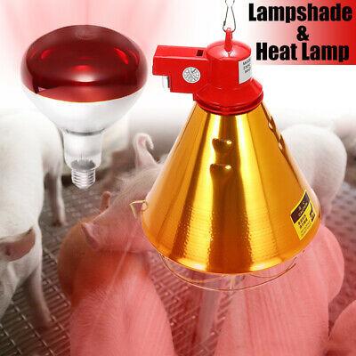 China Medical Treatment Farm Heaters Waterproof Infrared Heating Lamp With Red Bulbs for sale