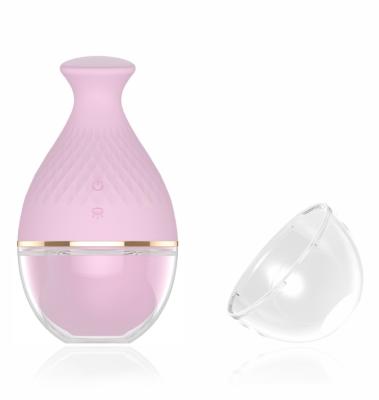 China 10 Frequency Waterproof Rechargeable 10 Frequency Massager Air-Pulse Clitoris Stimulation Sucking Toys for sale