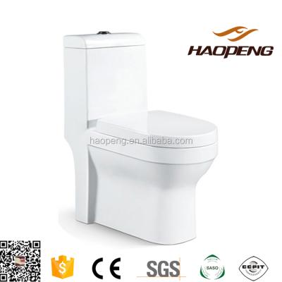 China Double-flush Iraq Bathroom One Piece Washdown Toilets for sale