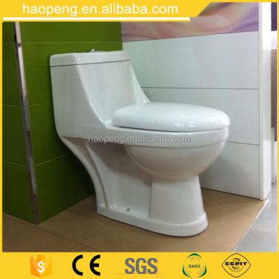 China Double-Flow Economy Small/Popular One-Piece P-Trap Toilet Wash Down Wc Design In Algeria for sale