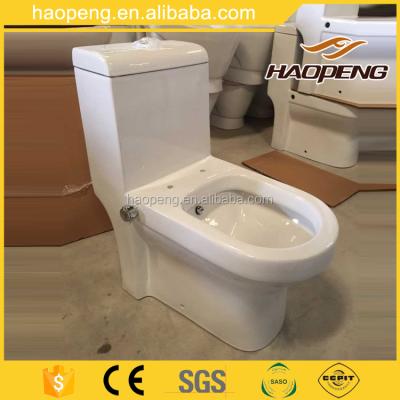 China Muslim Double-Flow Strap 250mm 4 Inch Washdown One Piece Toilet With Built-in Bidet for sale