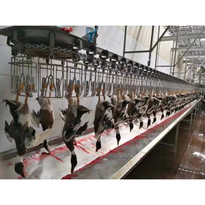 China Customized slaughter line experienced top brand poultry slaughtering equipment/slaughterhouse machine/chicken slaughter line for sale