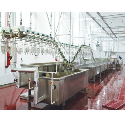 China Feathering Removing Poultry / Duck Slaughtering Equipment Part Waxing Line for sale