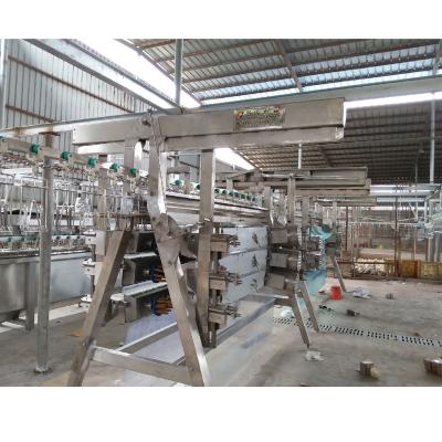 China Customized slaughter line chicken plucking machine / chicken slaughterhouse with high quality for sale