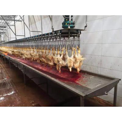 China 2000BPH air chilled POULTRY chicken dukc turkey goose slaughter line/poultry air chilling line/chicken slaughter line for sale