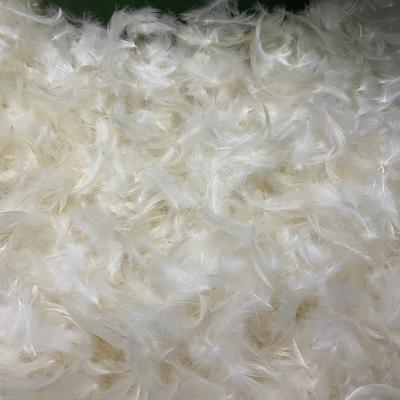 China Eco-friendly bulk wholesale washed feather to fill with sofa pillow quilt and other furniture for sale