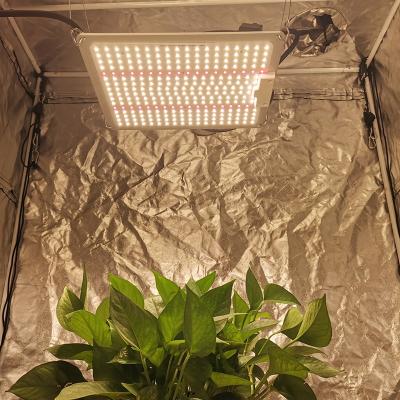 China Seed Starting New Arrival 120W 2021 Led Grow Light LM281B LM301H Led Plant Light For Indoor Plants for sale