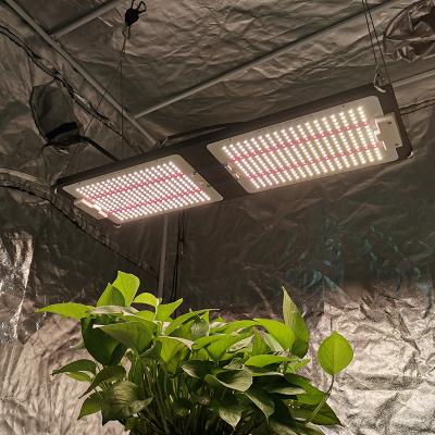 China Seed Starting 240W LM301h Indoor Yastar Grow Plants Led Horticulture Planting Grow Lights for sale