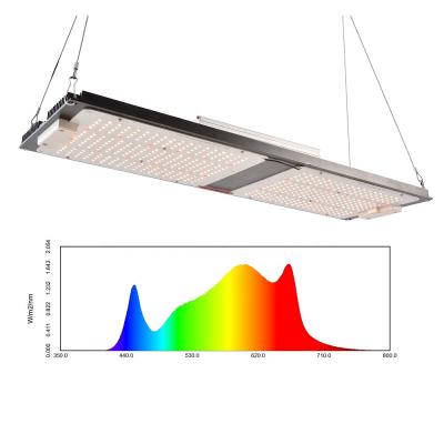 China Seed starting YASTAR 2020 LM301D professional commercial lm301h lm301b 240w 4x4 led grow light board for sale