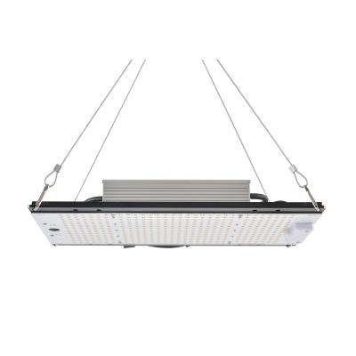 China Seed Starting Waterproof IP65 Full Spectrum Meanwell Driver LM301H 120W 150W Grow Light for sale