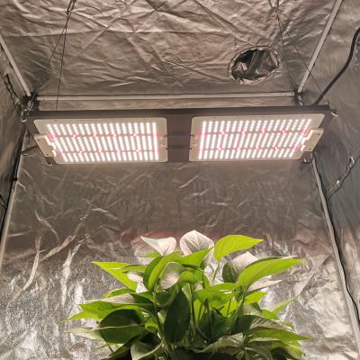 China Seed Starting Yastar 240w Lm301H With 660nm IR UV Led Separate Switch Grow Light for sale