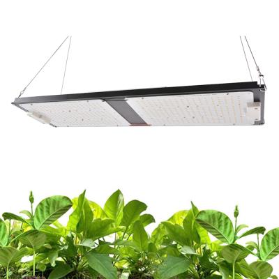 China FLOWER Yastar Effect Board Led Board 240W Samsung Meanwell Lm301B Lm301H COB Grow Light Lamp Kit For 4X2 FT for sale