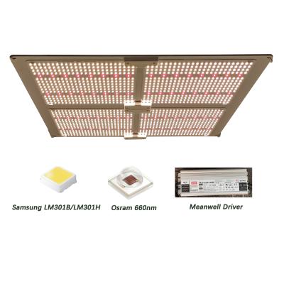 China FLOWER Yastar lm301h Mix 660nm Growing Indoor Full Spectrum Led Grow Light 600W for sale