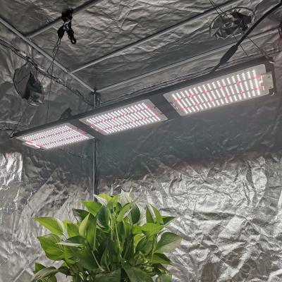 China FLOWER Yastar LM301H 660nm 300W IR UV led grow light hydroponic grow light full spectrum led grow light for sale