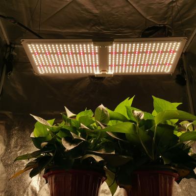 China Yastar Switch Seed Starting New 240W IR UV Samsung lm301h Indoor Customs Lead Grow Light for sale